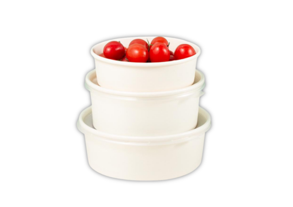 Bowl de Papel Biodegradável